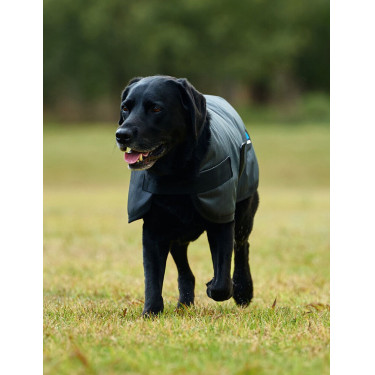Waterdichte honden deken Weatherbeeta ComFiTec Classic Houtskool Grijs Waterdichte honden deken Weatherbeeta ComFiTec Classic Houtskool Grijs