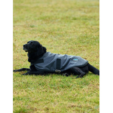 Waterdichte honden deken Weatherbeeta ComFiTec Classic Houtskool Grijs Waterdichte honden deken Weatherbeeta ComFiTec Classic Houtskool Grijs