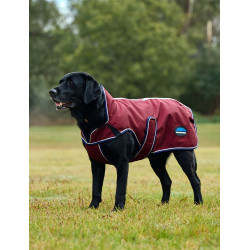 Weerbestendige hondenmantel WeatherBeeta ComFiTec Premier Deluxe Bourgogne / marine