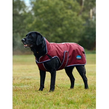 Weerbestendige hondenmantel WeatherBeeta ComFiTec Premier Deluxe Bourgogne / marine Weerbestendige hondenmantel WeatherBeeta ComFiTec Premier Deluxe Bourgogne / marine