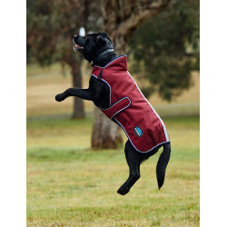 Couverture imperméable Weatherbeeta chien ComFiTec Premier Deluxe Bourgogne / marine