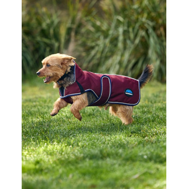 Weerbestendige hondenmantel WeatherBeeta ComFiTec Premier Deluxe Bourgogne / marine Weerbestendige hondenmantel WeatherBeeta ComFiTec Premier Deluxe Bourgogne / marine