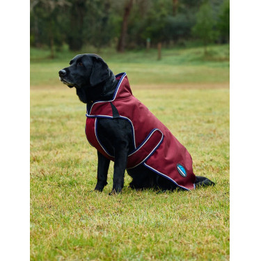 Weerbestendige hondenmantel WeatherBeeta ComFiTec Premier Deluxe Bourgogne / marine Weerbestendige hondenmantel WeatherBeeta ComFiTec Premier Deluxe Bourgogne / marine