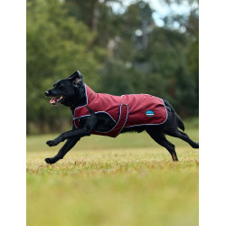 Couverture imperméable Weatherbeeta chien ComFiTec Premier Deluxe Bourgogne / marine