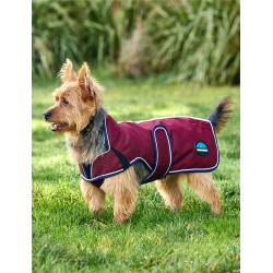 Couverture imperméable Weatherbeeta chien ComFiTec Premier Deluxe Bourgogne / marine