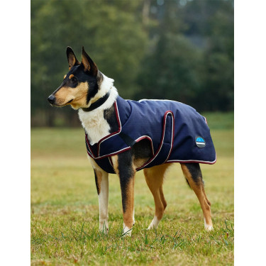 Couverture imperméable Weatherbeeta chien ComFiTec Premier Deluxe Marine / bourgogne