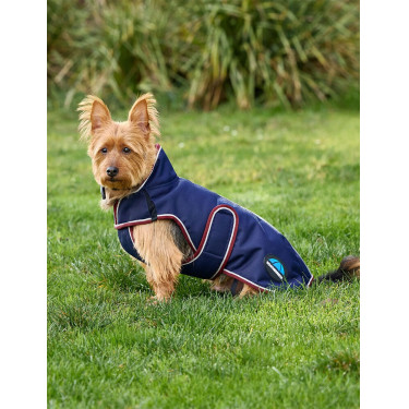 Couverture imperméable Weatherbeeta chien ComFiTec Premier Deluxe Marine / bourgogne