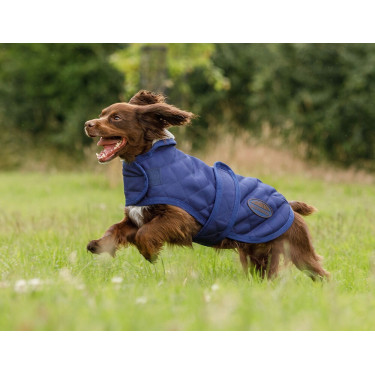 Honden deken Weatherbeeta ComFiTec Deluxe Diamond Quilt Marine Marineblauw Honden deken Weatherbeeta ComFiTec Deluxe Diamond Quilt Marine Marineblauw