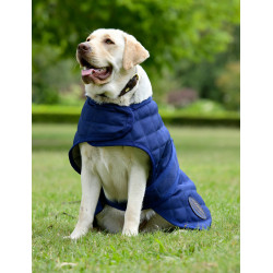 Couverture pour chien Weatherbeeta ComFiTec Deluxe Diamond Quilt Marine Bleu marine Couverture pour chien Weatherbeeta ComFiTec Deluxe Diamond Quilt Marine Bleu marine