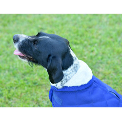 Honden deken Weatherbeeta ComFiTec Deluxe Diamond Quilt Marine Marineblauw