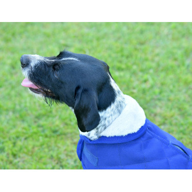 Honden deken Weatherbeeta ComFiTec Deluxe Diamond Quilt Marine Marineblauw Honden deken Weatherbeeta ComFiTec Deluxe Diamond Quilt Marine Marineblauw