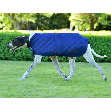 Honden deken Weatherbeeta ComFiTec Deluxe Diamond Quilt Marine Marineblauw Honden deken Weatherbeeta ComFiTec Deluxe Diamond Quilt Marine Marineblauw