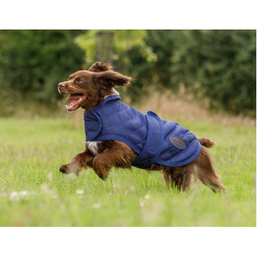 Honden deken Weatherbeeta ComFiTec Deluxe Diamond Quilt Marine Marineblauw Honden deken Weatherbeeta ComFiTec Deluxe Diamond Quilt Marine Marineblauw