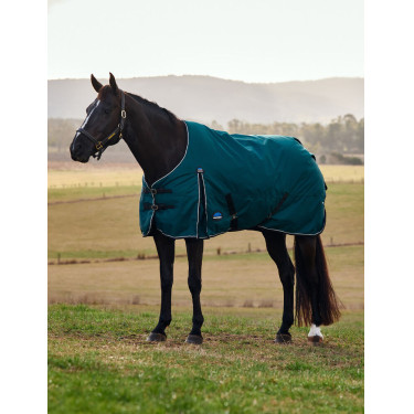 Deken Weatherbeeta ComFiTec Classic Turnout 50 g Bosgroen / zwart Deken Weatherbeeta ComFiTec Classic Turnout 50 g Bosgroen / zwart