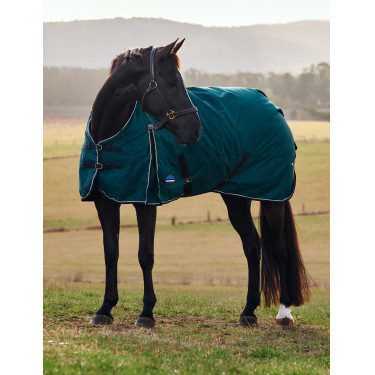 Deken Weatherbeeta ComFiTec Classic Turnout 50 g Bosgroen / zwart Deken Weatherbeeta ComFiTec Classic Turnout 50 g Bosgroen / zwart