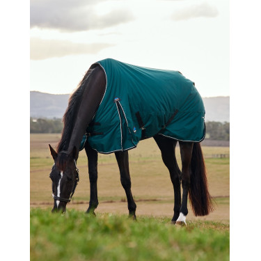 Deken Weatherbeeta ComFiTec Classic Turnout 50 g Bosgroen / zwart Deken Weatherbeeta ComFiTec Classic Turnout 50 g Bosgroen / zwart