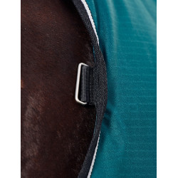 Deken Weatherbeeta ComFiTec Classic Turnout 50 g Bosgroen / zwart Deken Weatherbeeta ComFiTec Classic Turnout 50 g Bosgroen / zwart