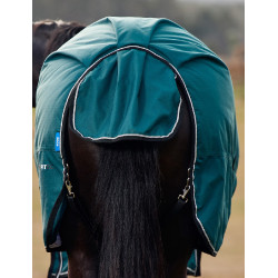 Deken Weatherbeeta ComFiTec Classic Turnout 50 g Bosgroen / zwart Deken Weatherbeeta ComFiTec Classic Turnout 50 g Bosgroen / zwart