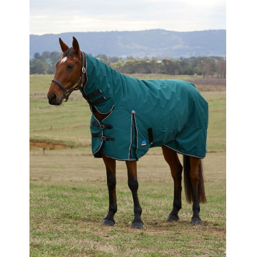 Couverture Weatherbeeta ComFiTec Classic Turnout combo 220g Vert forêt / noir Couverture Weatherbeeta ComFiTec Classic Turnout combo 220g Vert forêt / noir