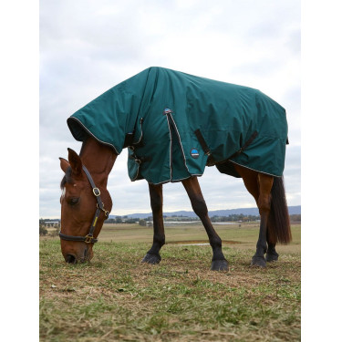 Couverture Weatherbeeta ComFiTec Classic Turnout combo 220g Vert forêt / noir Couverture Weatherbeeta ComFiTec Classic Turnout combo 220g Vert forêt / noir