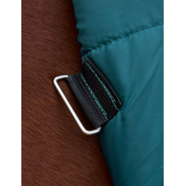 Couverture Weatherbeeta ComFiTec Classic Turnout combo 220g Vert forêt / noir Couverture Weatherbeeta ComFiTec Classic Turnout combo 220g Vert forêt / noir