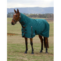 Couverture Weatherbeeta ComFiTec Classic Turnout combo 360g Vert forêt / noir Couverture Weatherbeeta ComFiTec Classic Turnout combo 360g Vert forêt / noir