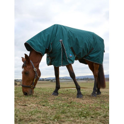 Couverture Weatherbeeta ComFiTec Classic Turnout combo 360g Vert forêt / noir Couverture Weatherbeeta ComFiTec Classic Turnout combo 360g Vert forêt / noir