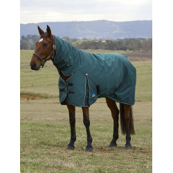 Couverture Weatherbeeta ComFiTec Classic Turnout combo 50g Vert forêt / noir