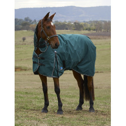 Couverture Weatherbeeta ComFiTec Classic Turnout combo 50g Vert forêt / noir