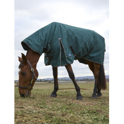 new Bosgroen / zwart new Bosgroen / zwart