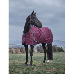 Couverture Weatherbeeta ComFiTec Essential Turnout 220g Bourgogne / marine