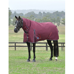 Couverture Weatherbeeta ComFiTec Essential Turnout 220g combo Bourgogne / marine