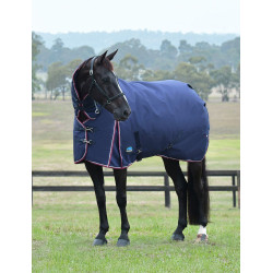 Couverture Weatherbeeta ComFiTec Essential Turnout 220g combo Marine / bourgogne Bleu marine