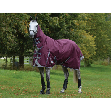 Dekentje Weatherbeeta ComFiTec Plus Dynamic II Combo hals medium Bordeaux / grijs / wit Dekentje Weatherbeeta ComFiTec Plus Dynamic II Combo hals medium Bordeaux / grijs / wit
