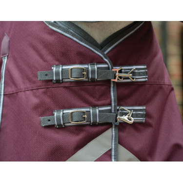 Dekentje Weatherbeeta ComFiTec Plus Dynamic II Combo hals medium Bordeaux / grijs / wit Dekentje Weatherbeeta ComFiTec Plus Dynamic II Combo hals medium Bordeaux / grijs / wit