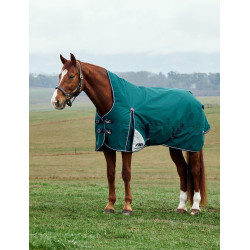 Weatherbeeta ComFiTec Plus Dynamic Turnout deken 100 g met hoge hals Bosgroen / marineblauw