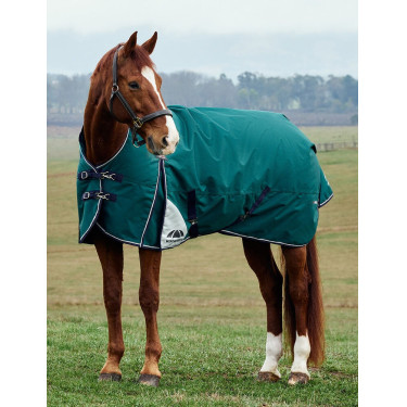 Couverture Weatherbeeta ComFiTec Plus Dynamic Turnout 100g high neck Vert forêt / marine Couverture Weatherbeeta ComFiTec Plus Dynamic Turnout 100g high neck Vert forêt / marine
