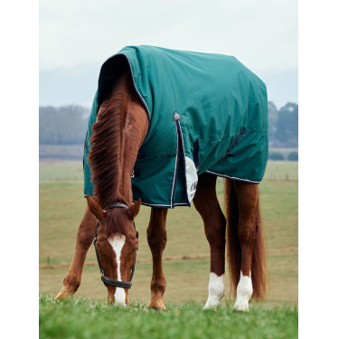 Couverture Weatherbeeta ComFiTec Plus Dynamic Turnout 100g high neck Vert forêt / marine Couverture Weatherbeeta ComFiTec Plus Dynamic Turnout 100g high neck Vert forêt / marine