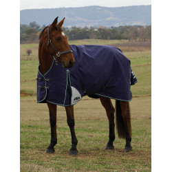 Couverture Weatherbeeta ComFiTec Plus Dynamic Turnout 100g high neck Marine / vert forêt Bleu Couverture Weatherbeeta ComFiTec Plus Dynamic Turnout 100g high neck Marine / vert forêt Bleu