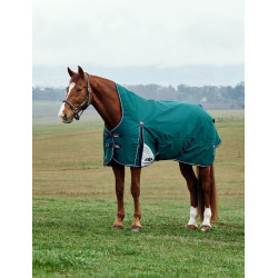 Couverture Weatherbeeta ComFiTec Plus Dynamic Turnout 220g high neck Vert forêt / marine
