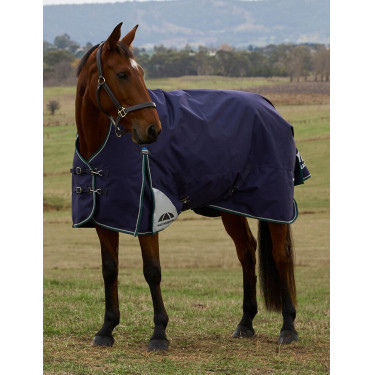 Deken Weatherbeeta ComFiTec Plus Dynamic Turnout 220g high neck Marine / bosgroen Blauw