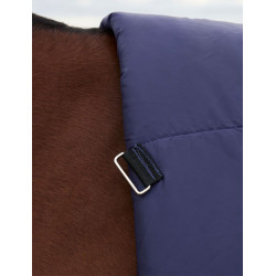 Couverture Weatherbeeta ComFiTec Plus Dynamic Turnout 220g high neck Marine / vert forêt Bleu
