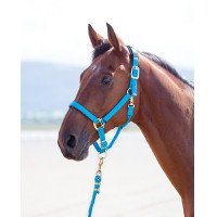 Licol nylon Topaz Shires Bleu