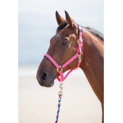 Licol nylon Topaz Shires Rose Licol nylon Topaz Shires Rose