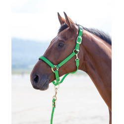 Licol nylon Topaz Shires Vert