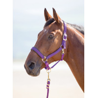 Licol nylon Topaz Shires Violet Licol nylon Topaz Shires Violet