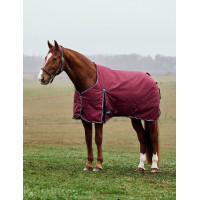 Couverture Weatherbeeta ComFiTec Prelim Turnout 220g Bourgogne / marine Couverture Weatherbeeta ComFiTec Prelim Turnout 220g Bourgogne / marine