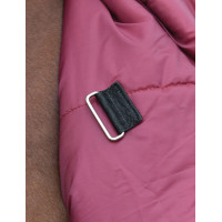 Couverture Weatherbeeta ComFiTec Prelim Turnout 220g Bourgogne / marine Couverture Weatherbeeta ComFiTec Prelim Turnout 220g Bourgogne / marine