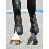 Weatherbeeta Tough-Tec Essential Open peesbeschermers Bruin