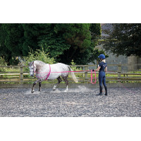 Longeerzweep Shires 160 cm
